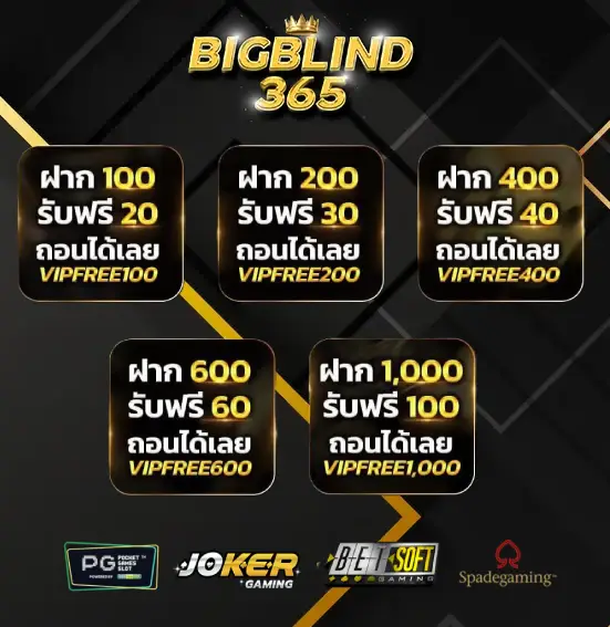 bigblind365 เข้าสู่ระบบ